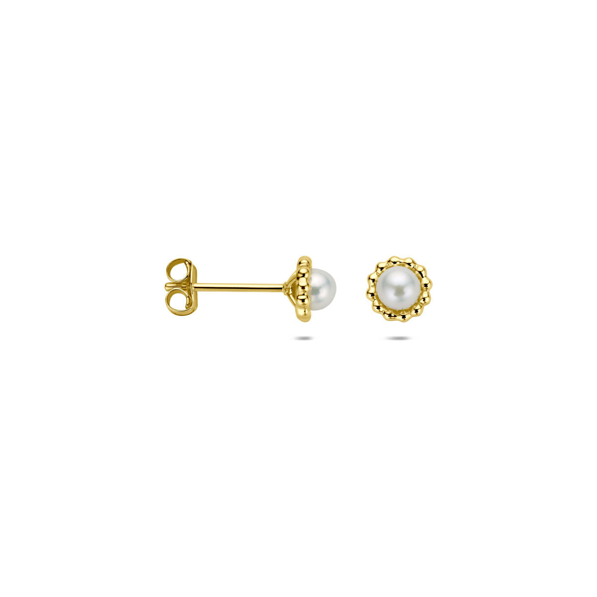 Oorknoppen parel 14K geelgoud 5,5 mm