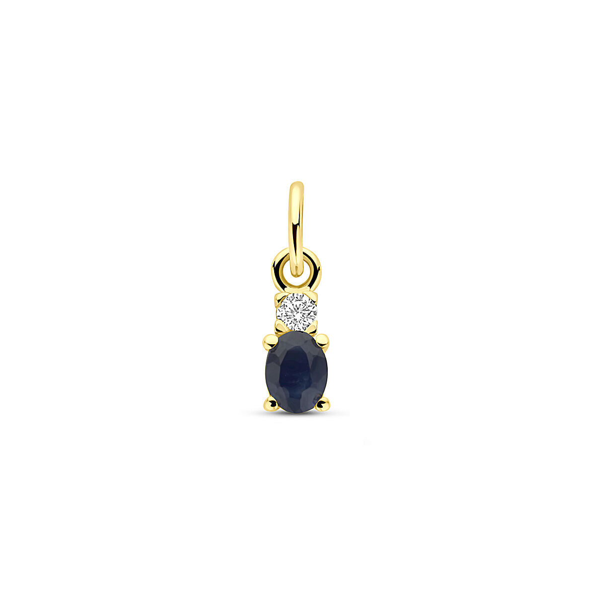 14K geelgouden hanger saffier en zirkonia 12 mm - 4034252 - PansiteNederland.nl
