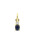 14K geelgouden hanger saffier en zirkonia 12 mm - 4034252 - PansiteNederland.nl
