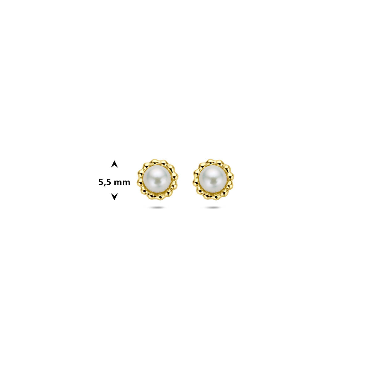 Oorknoppen parel 14K geelgoud 5,5 mm