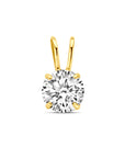 14K geelgoud hanger zirkonia 4032526 - PansiteNederland.nl