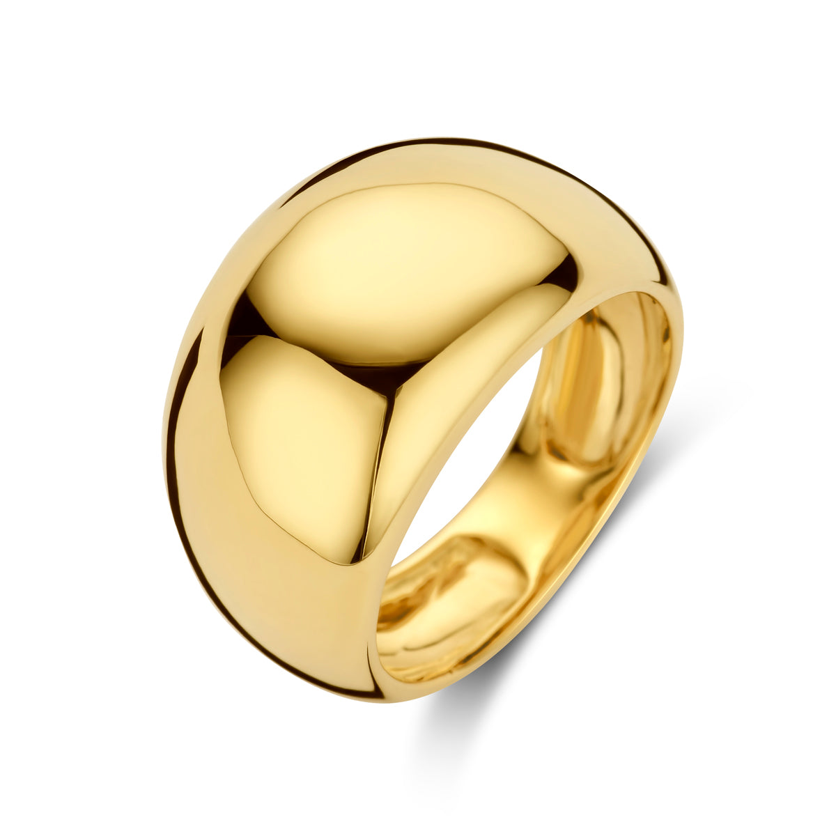 14K Geelgoud Ring 4018556 - PansiteNederland.nl