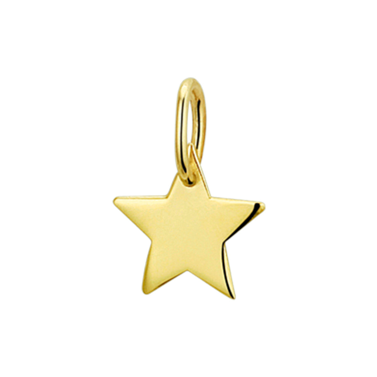 14K geelgoud hanger ster 4019321 - PansiteNederland.nl