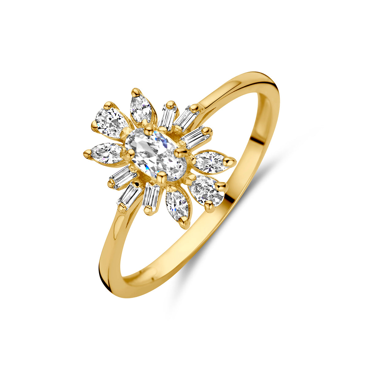 14K Geelgoud Ring Met Zirkonia 4029462 - PansiteNederland.nl