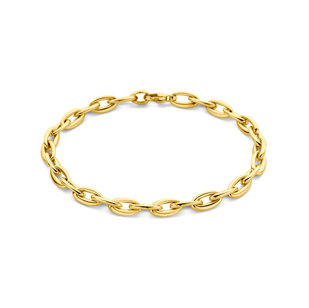 14K Geelgoud Armband 5,5 Mm 19 Cm 4029590 - PansiteNederland.nl