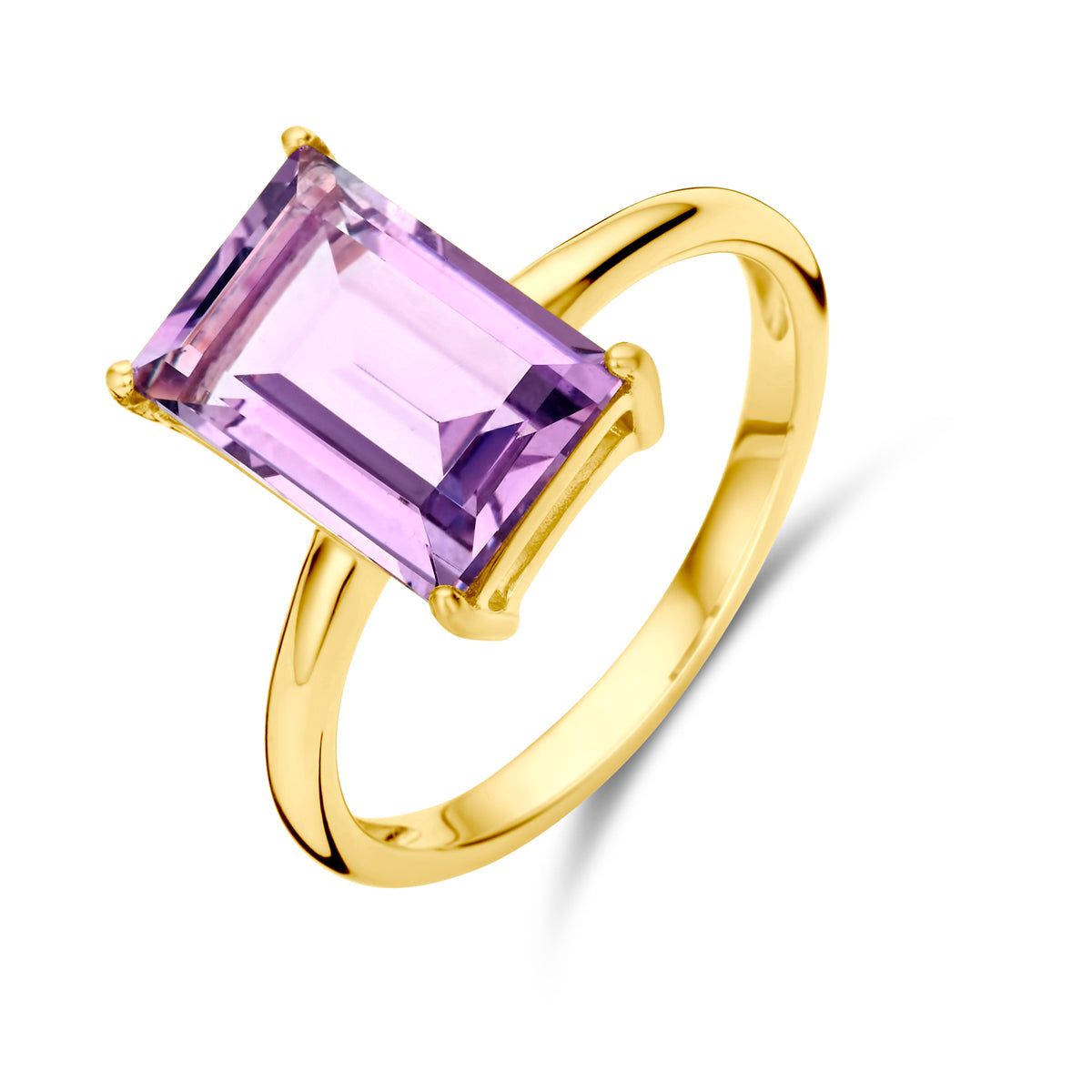 14K Geelgoud Ring Amethist 4029607 - PansiteNederland.nl