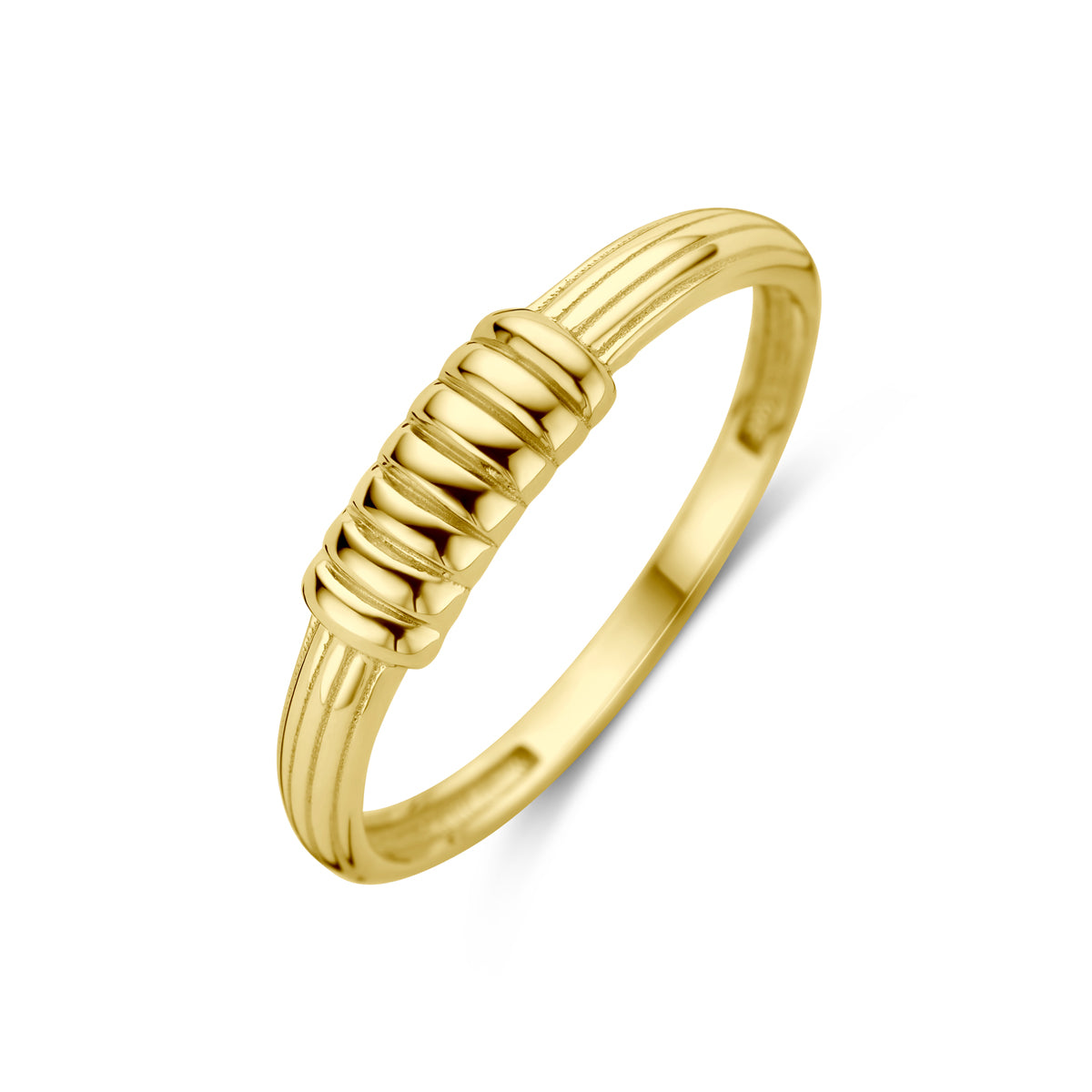 14K Geelgoud Ring 4030674 - PansiteNederland.nl