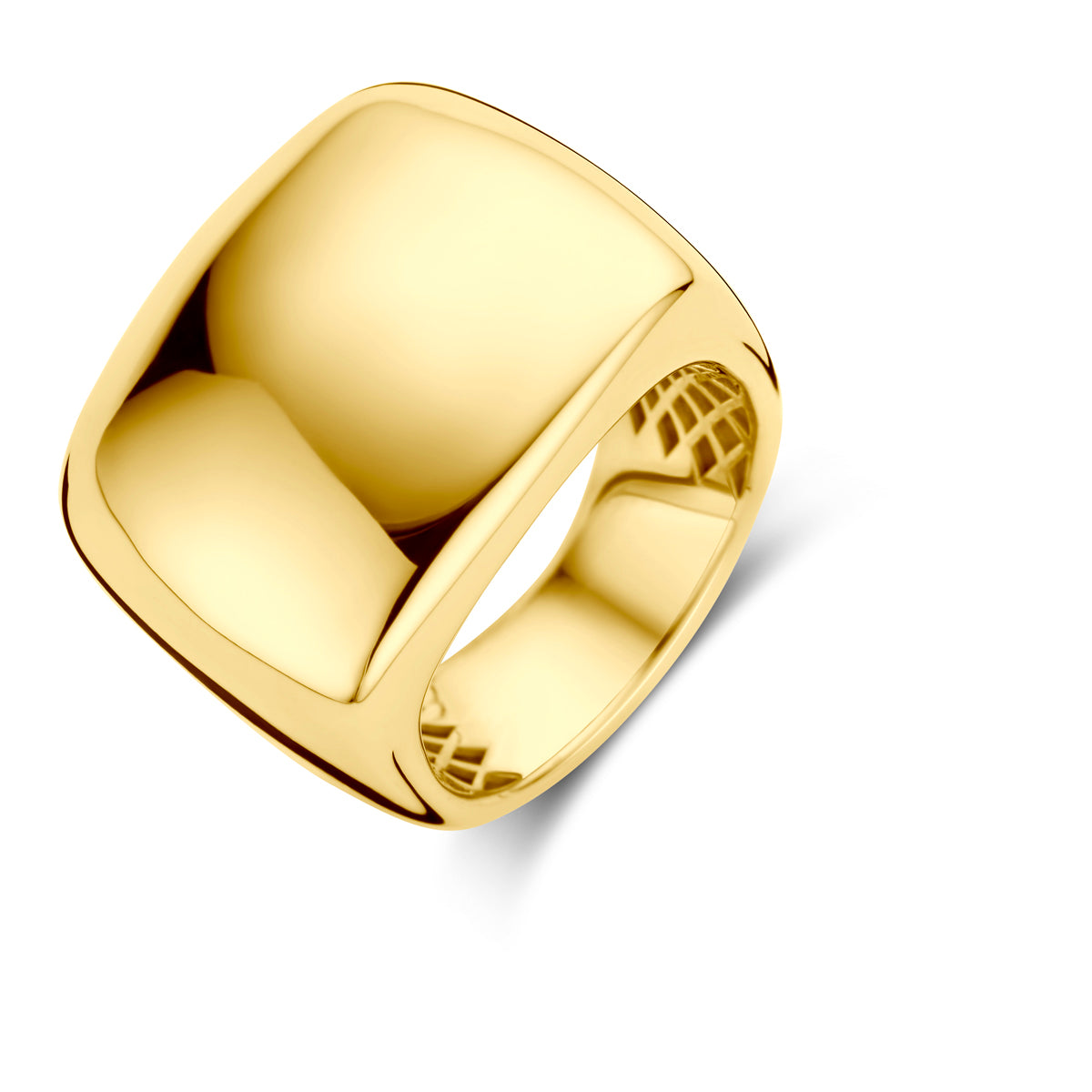 14K Geelgoud Ring 4031312 - PansiteNederland.nl