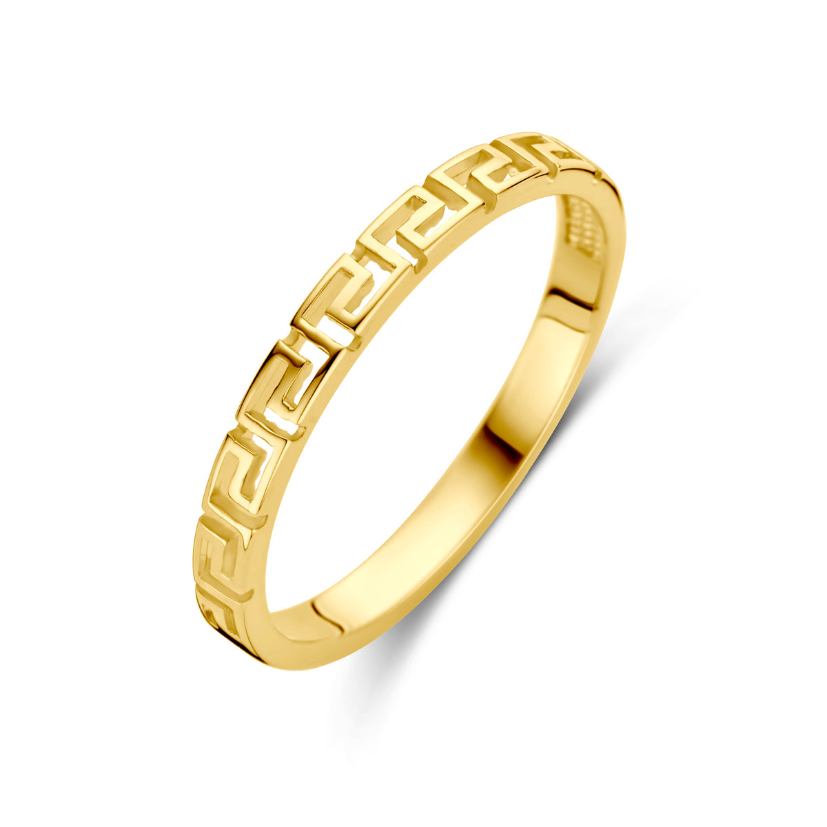 14K Geelgoud Ring 4031495 - PansiteNederland.nl