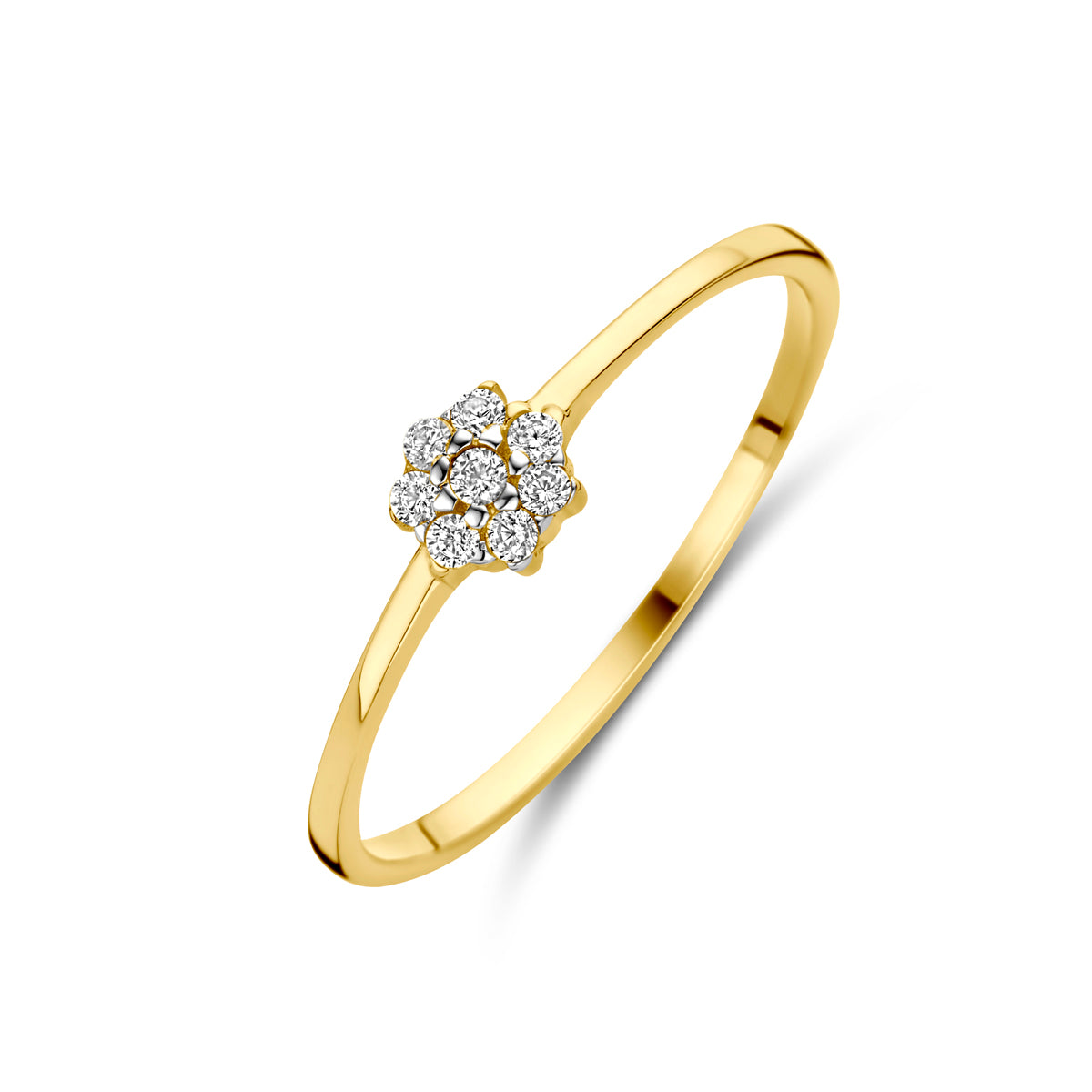 14K Geelgoud Ring Met Zirkonia 4031567 - PansiteNederland.nl