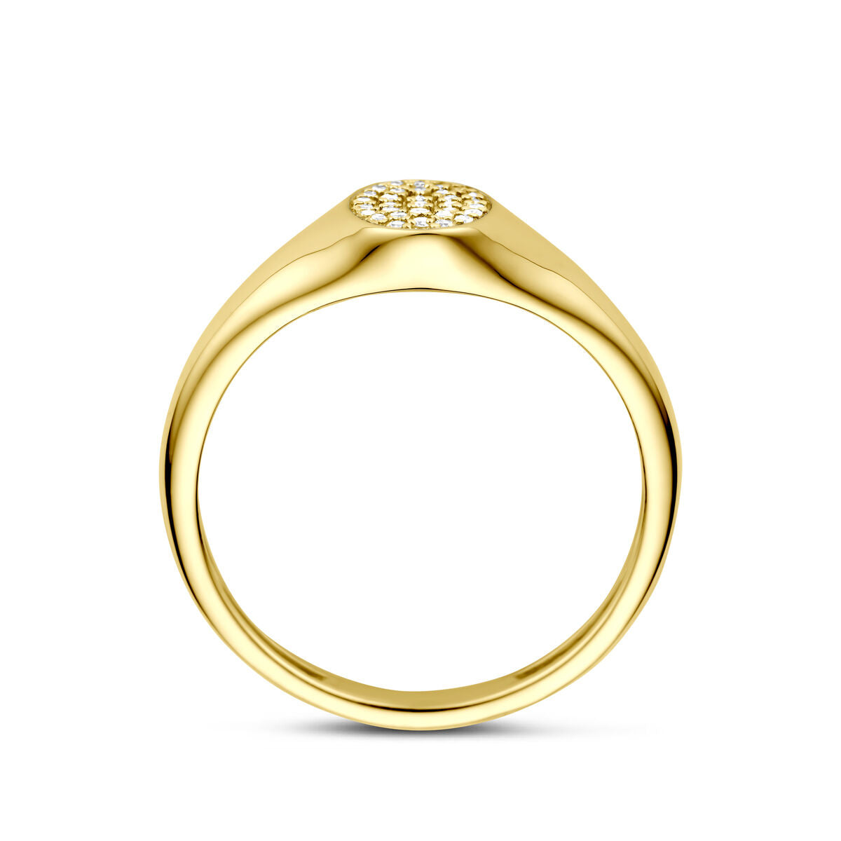 Fantasy Collection Ring diamant 0.09ct h si 14K geelgoud