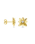 14K bicolor gouden geel/wit oorknoppen diamant 0.03ct 2x 0.015ct h si 12 mm - 4209043