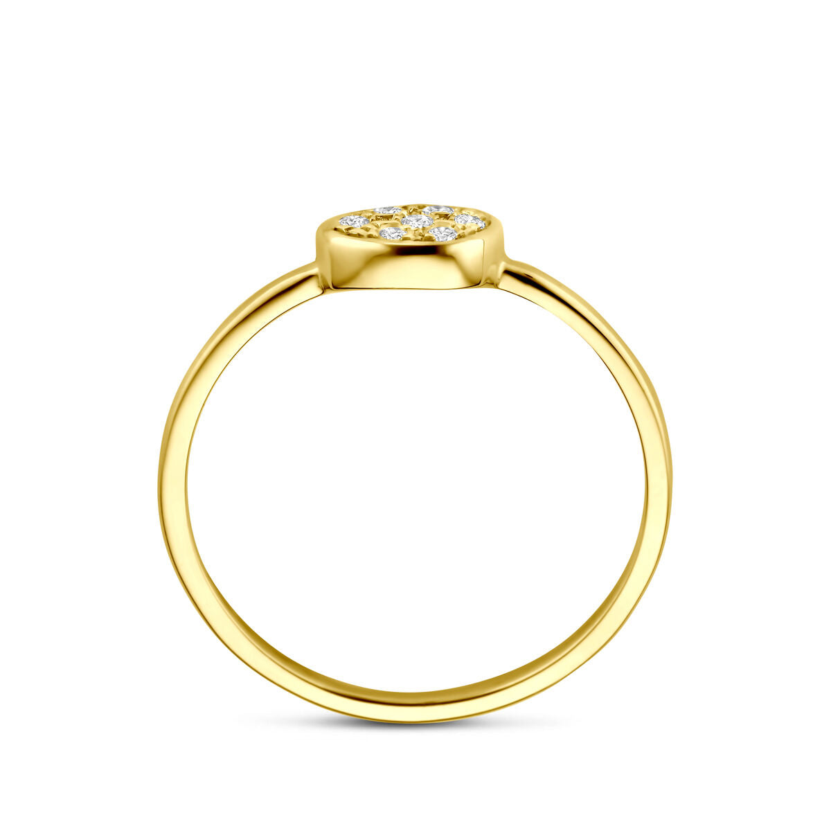 Fantasy Collection Ring diamant 0.07ct h si 14K geelgoud