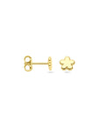 14K geelgouden oorknoppen bloem 5,5 mm - 4033471