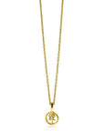 Zinzi gold plated zilveren Boogschutter sterrenbeeldhanger bezet met witte zirkonia ZIHY-BOO (zonder collier) - PansiteNederland.nl