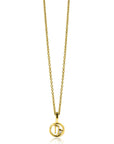Zinzi gold plated zilveren Steenbok sterrenbeeldhanger bezet met witte zirkonia ZIHY-STE (zonder collier) - PansiteNederland.nl