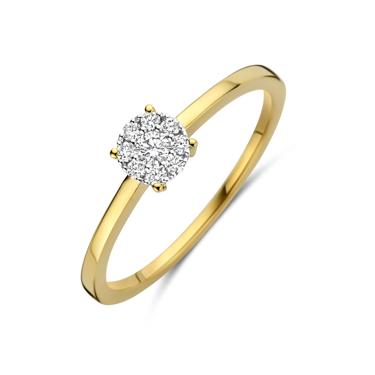 Fantasy Collection Ring diamant 0.13ct h si 14K bicolor goud