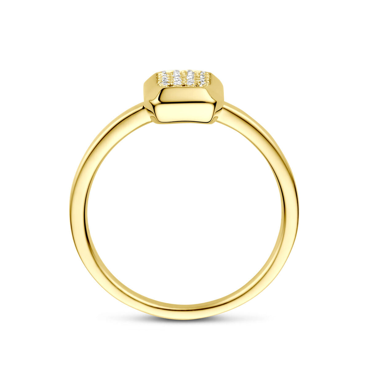 Fantasy Collection Ring diamant 0.10ct h si 14K geelgoud