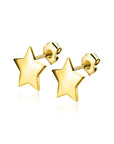 Zinzi Gold 14 krt gouden ster oorstekers 5,5mm ZGO315