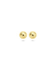 14K geelgouden oorknoppen 5 mm - 4034242