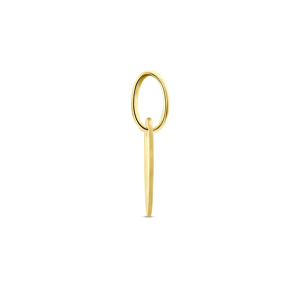 14K geelgoud graveerhanger rondje 4022366 - PansiteNederland.nl