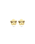 14K geelgouden oorknoppen bloem zirkonia gediamanteerd 6 mm - 4034248