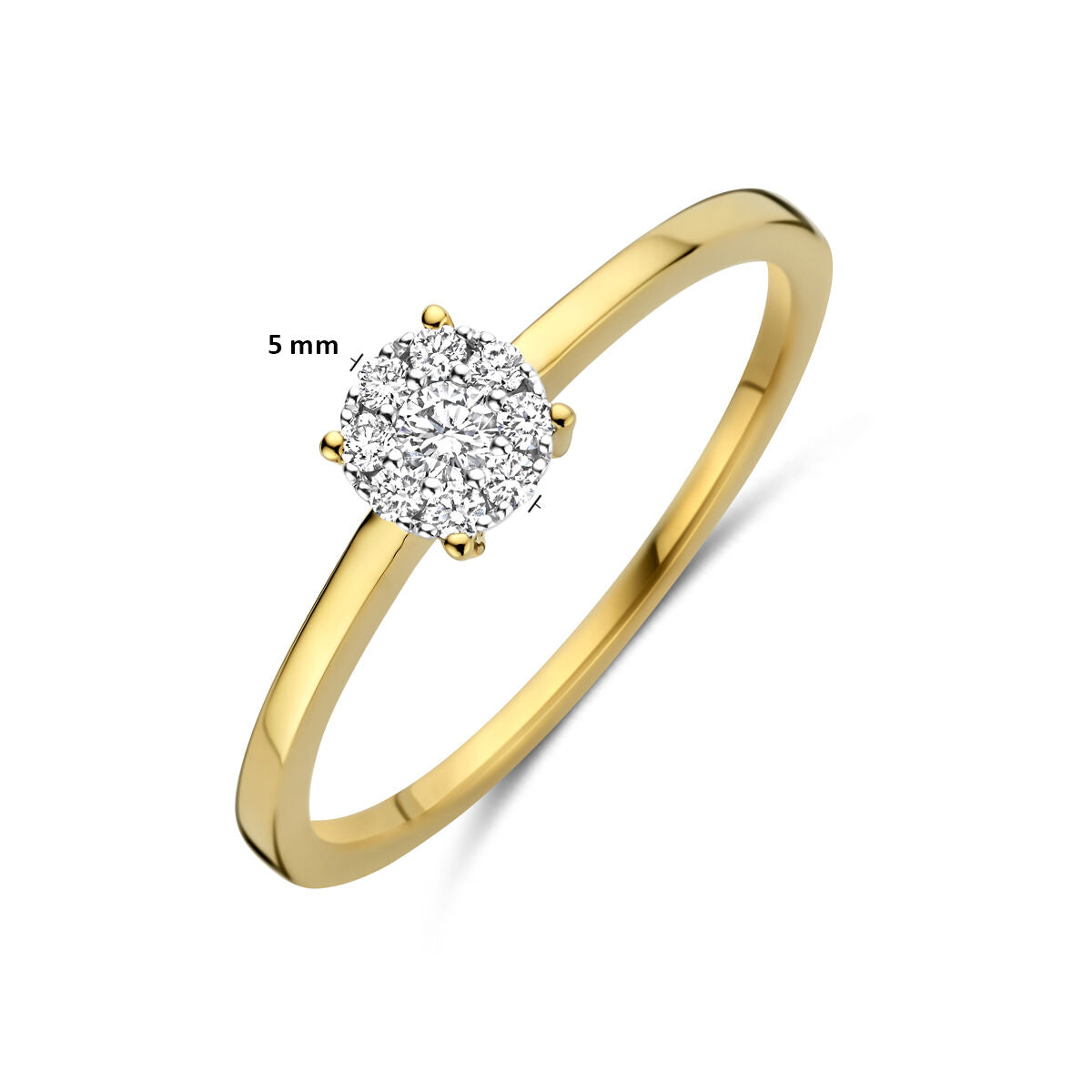 Fantasy Collection Ring diamant 0.13ct h si 14K bicolor goud