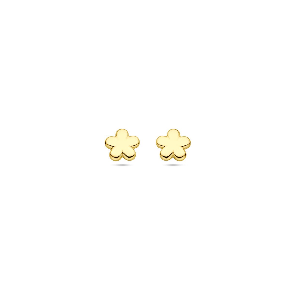 14K geelgouden oorknoppen bloem 5,5 mm - 4033471