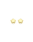 14K geelgouden oorknoppen bloem 5,5 mm - 4033471