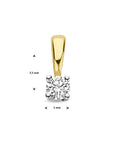 14K Bicolor Gouden Hanger | Hanger Diamant h si | 4208894 - PansiteNederland.nl