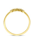 14K Geelgouden Ring Zirkonia 4034141