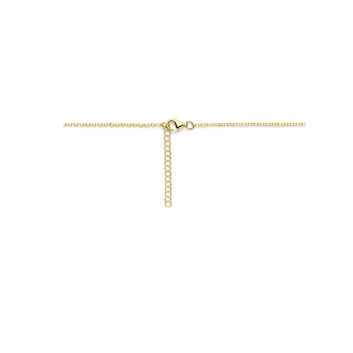 Fantasy Collection Collier gedraaid 41 + 4 cm 3 micron zilver verguld