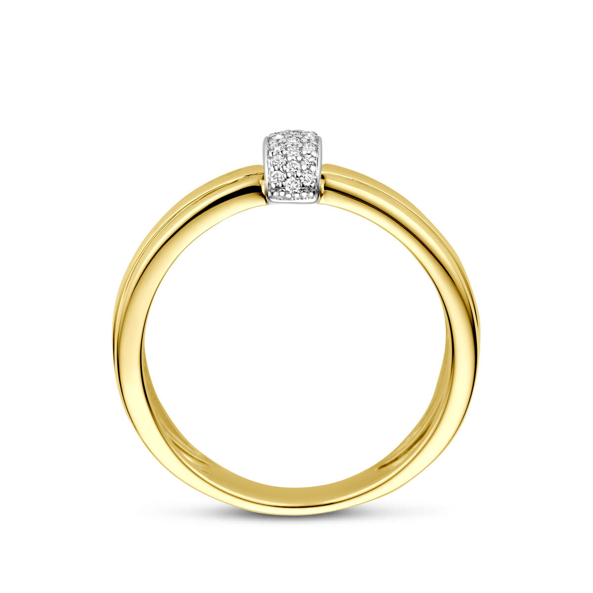 Fantasy Collection Ring diamant 0.08ct h si 14K bicolor goud