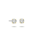 14K Geelgoud Oorknoppen Zirkonia 4010145