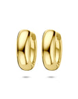 Zilveren vergulde geel klapoorringen 20 mm 1 micron - 2104091