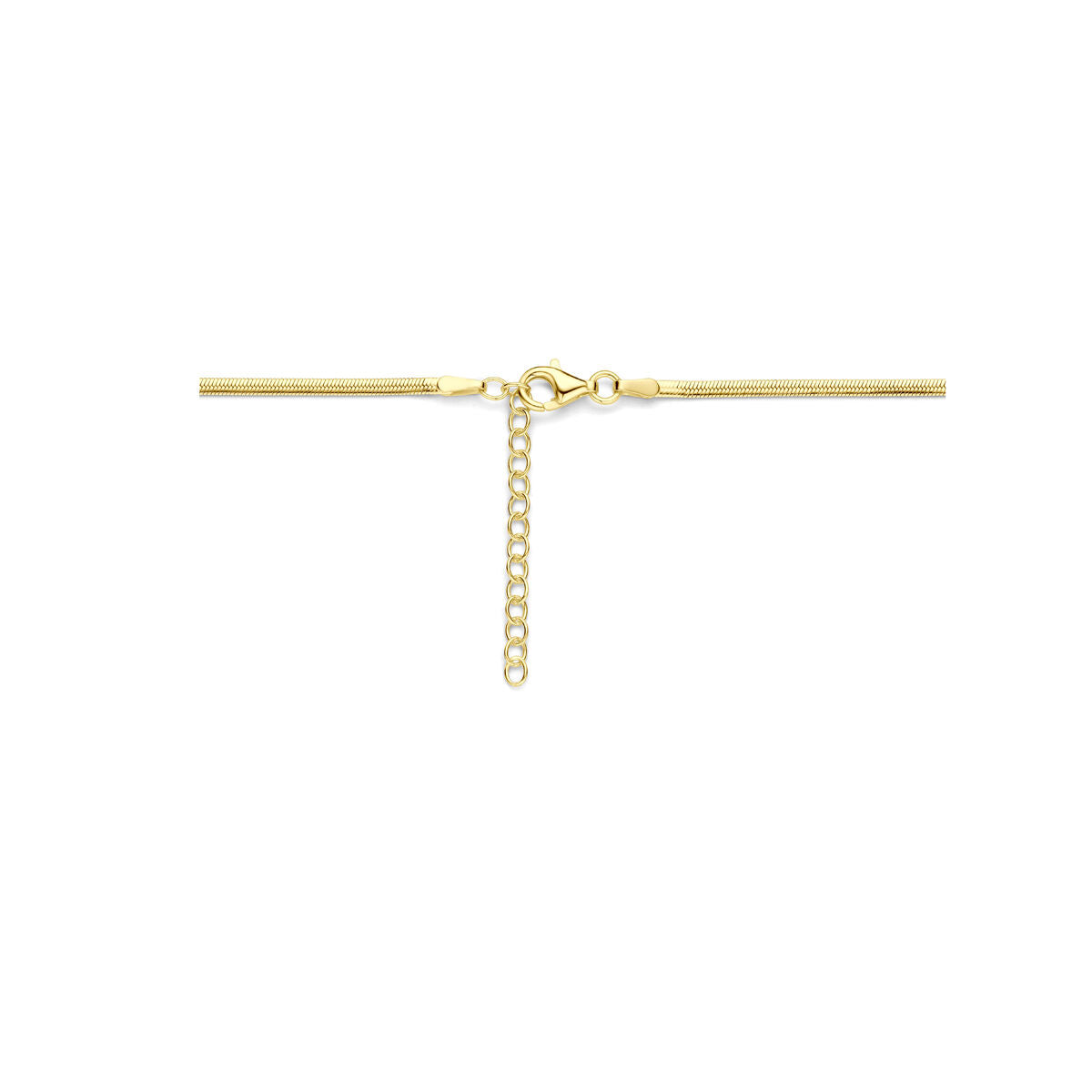 Fantasy Collection Collier gourmette 2 mm 40 + 4 cm 3 micron zilver verguld