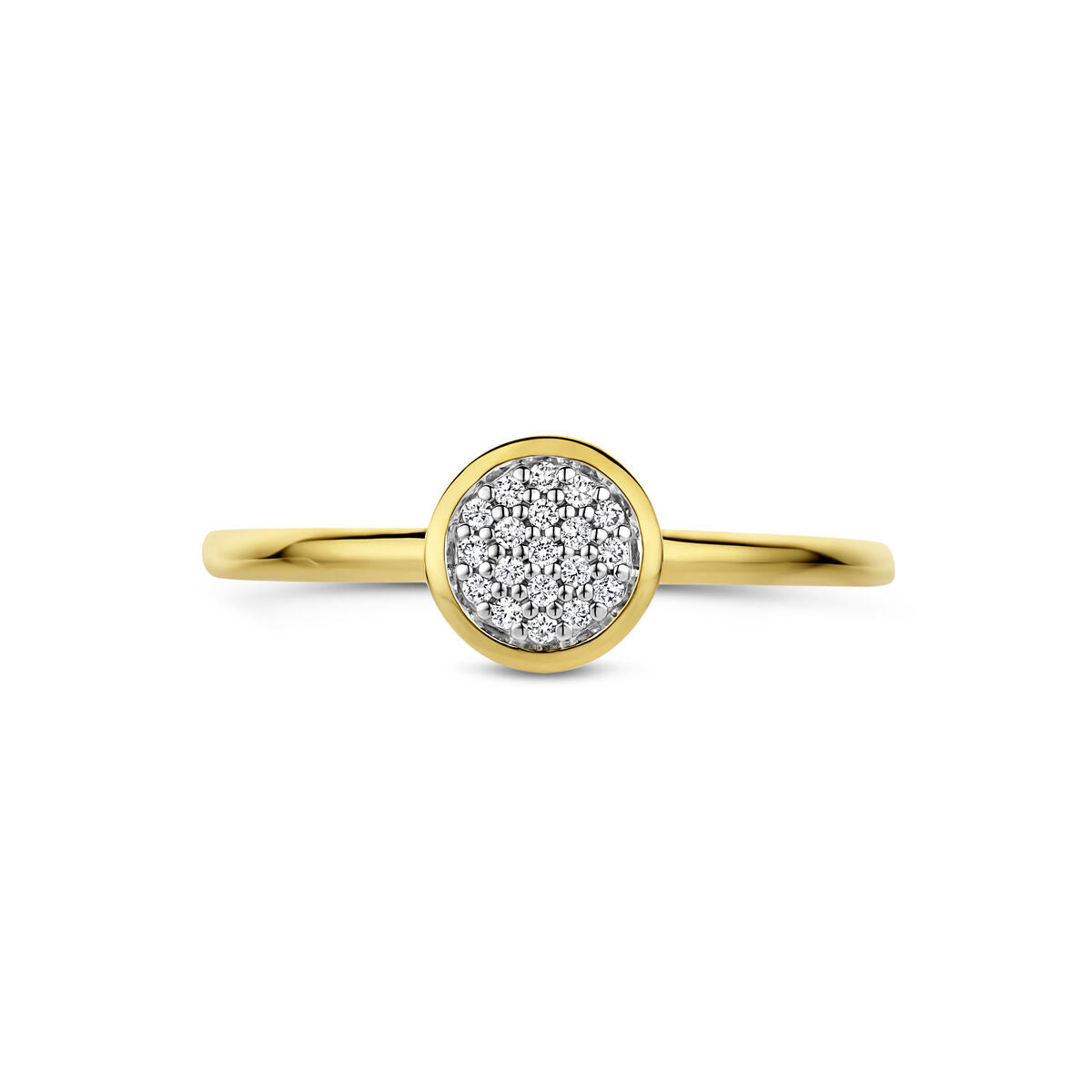 Fantasy Collection Ring diamant 0.06ct h si 14K geelgoud