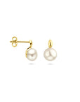 14K geelgouden oorknoppen parel 10 mm - 4034075
