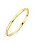 14K Geelgouden Ring 4033432