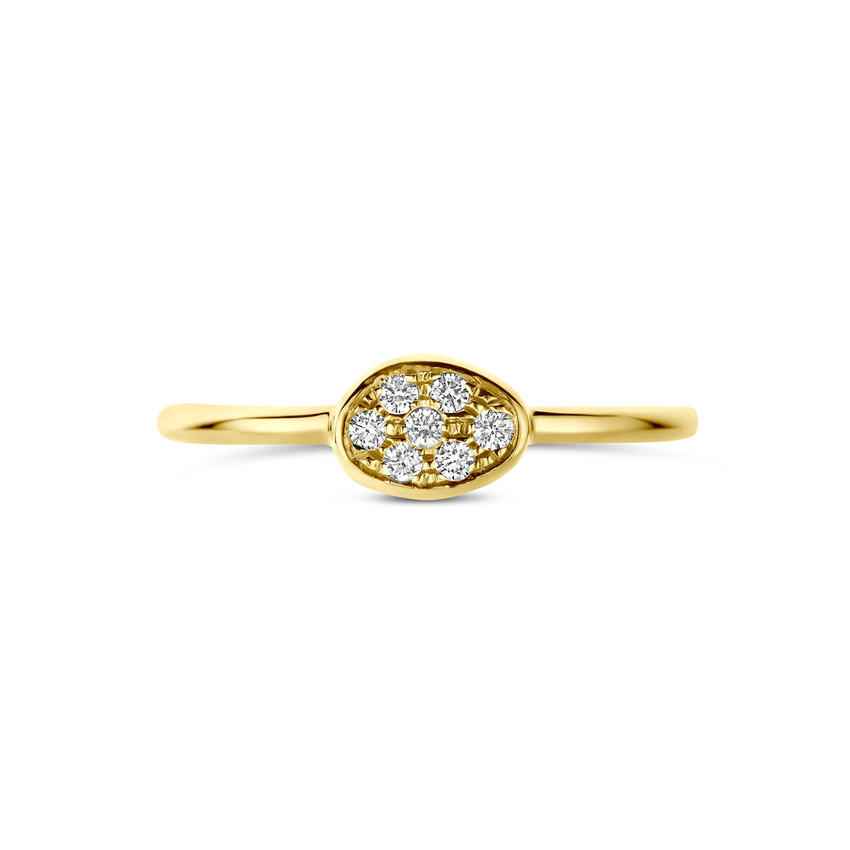 Fantasy Collection Ring diamant 0.07ct h si 14K geelgoud