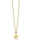Zinzi gold plated zilveren Waterman sterrenbeeldhanger bezet met witte zirkonia ZIHY-WAT (zonder collier) - PansiteNederland.nl
