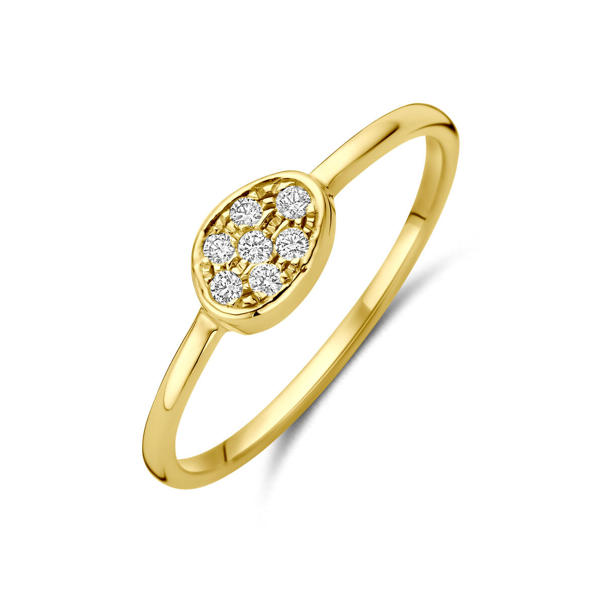 Fantasy Collection Ring diamant 0.07ct h si 14K geelgoud