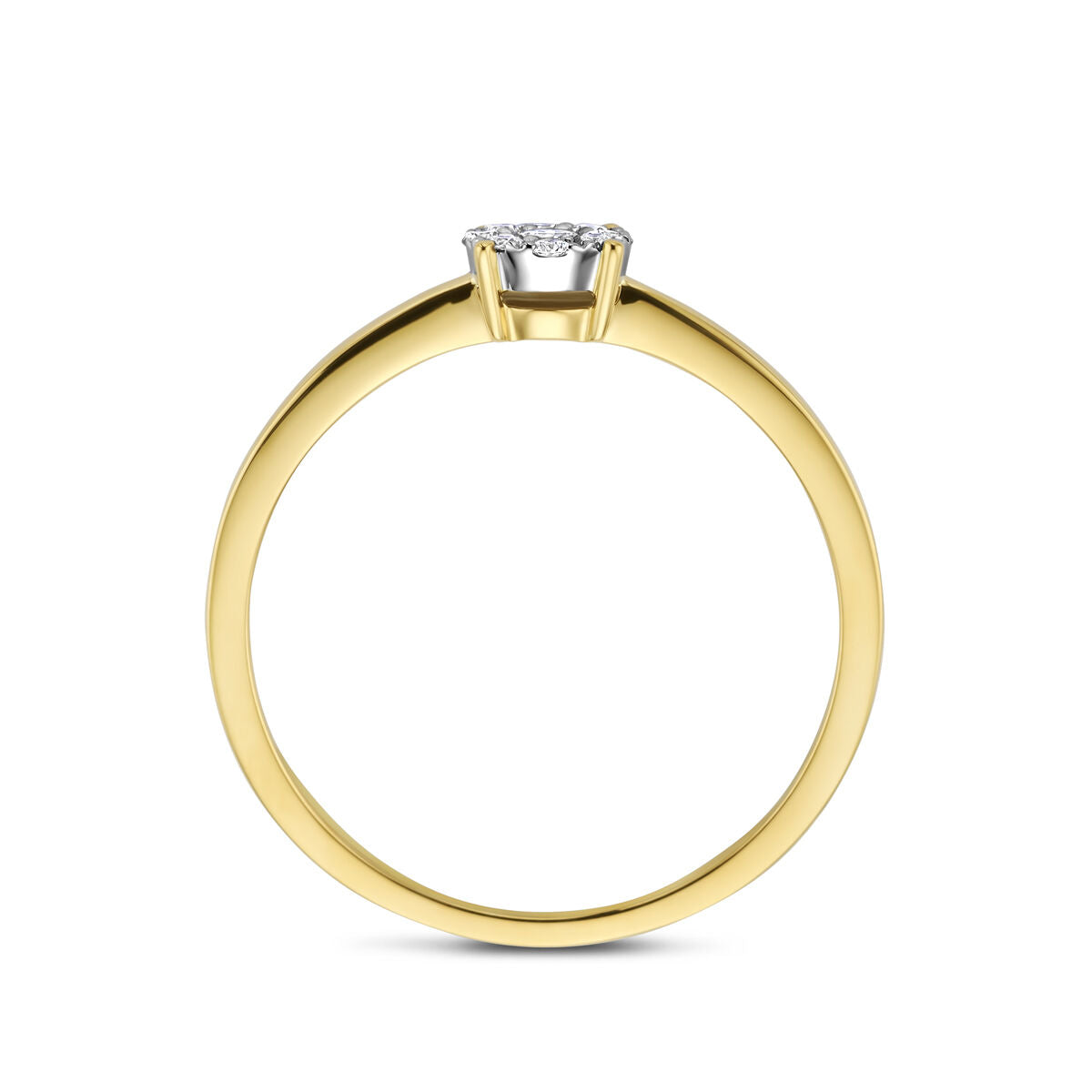 Fantasy Collection Ring diamant 0.13ct h si 14K bicolor goud