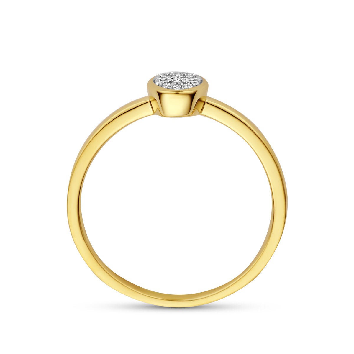 Fantasy Collection Ring diamant 0.06ct h si 14K geelgoud
