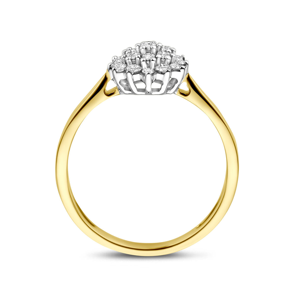 Fantasy Collection Ring lab grown diamant 0.33ct h si 14K bicolor goud