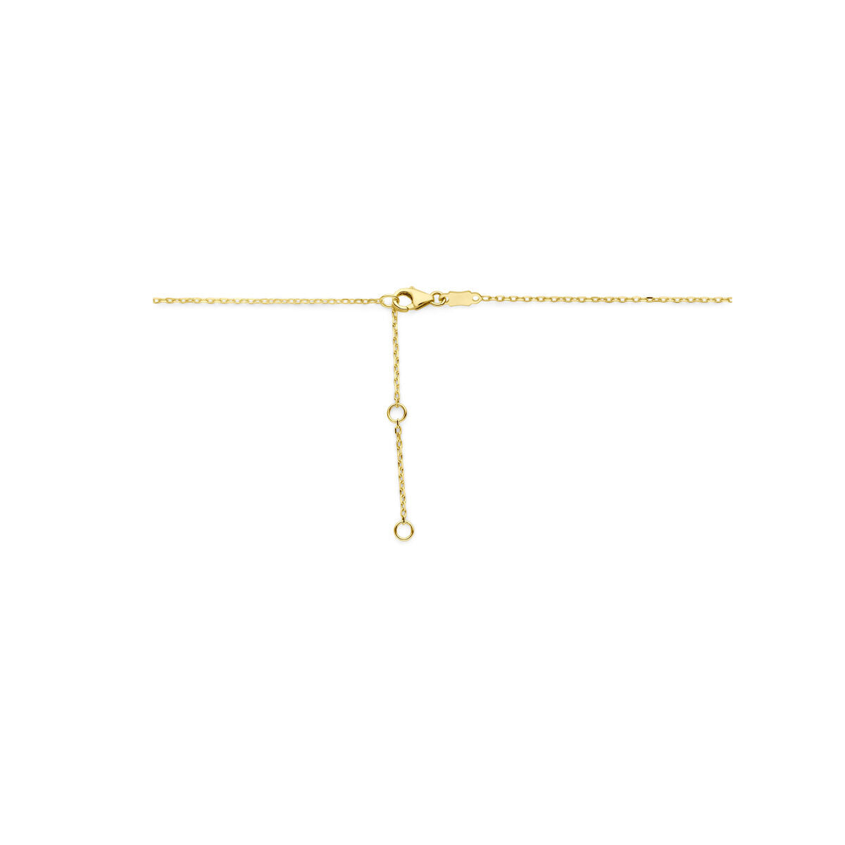 14K geelgoud graveer collier 41 - 43 - 45 cm 4030763 - PansiteNederland.nl