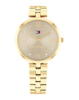 Tommy Hilfiger TH1782685 Horloge Dames Goudkleurig 34mm, exclusief en kwalitatief hoogwaardig. Ontdek nu!