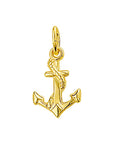 Hanger anker - PSN4018481, exclusief en kwalitatief hoogwaardig. Ontdek nu!