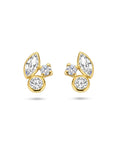 Gouden oorknoppen zirkonia 14K geelgoud - 4027735, exclusief en kwalitatief hoogwaardig. Ontdek nu!