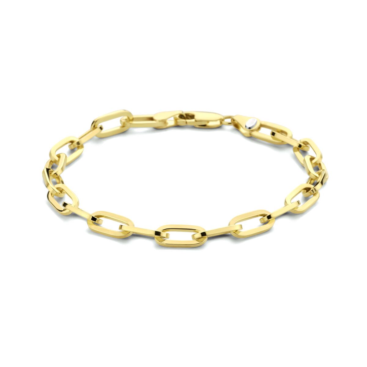 Zilgold (geelgoud met zilverkern) armband paperclip plat massief 5,0 mm 19 cm 5000282, exclusief en kwalitatief hoogwaardig. Ontdek nu!